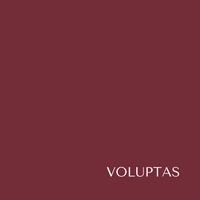 Voluptas Liquid Velvet Lips