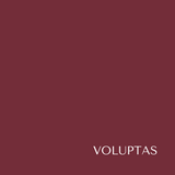 Voluptas Liquid Velvet Lips