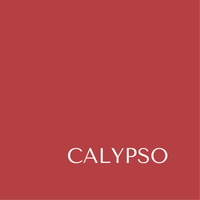 Calypso Liquid Velvet Lips