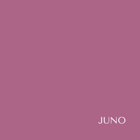 Juno Liquid Velvet Lips